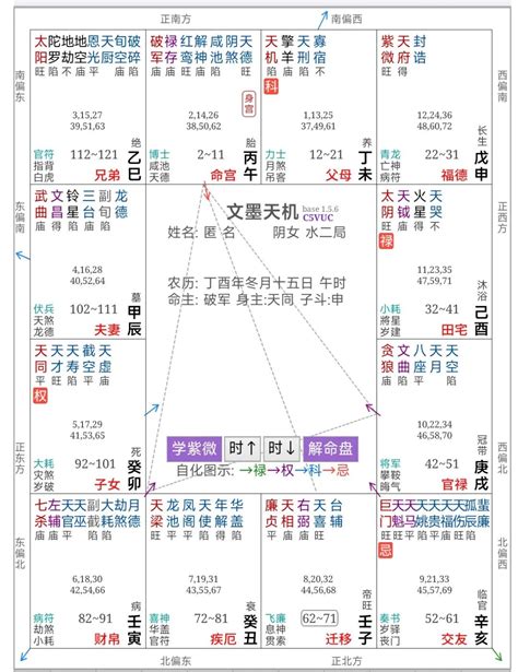 紫微命格種類|紫微斗数